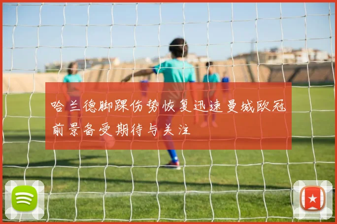 张伟丽卫冕战对手成功减重地面缠斗成胜负关键引发关注